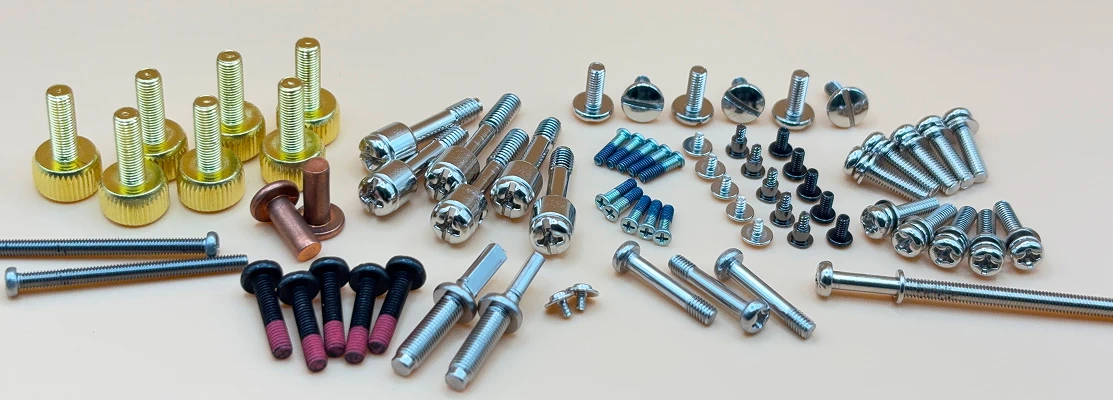 おねじの集合写真